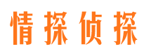 西城外遇调查取证